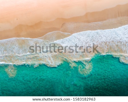 Top down aerial of Sydney beach Royalty-Free Stock Photo #1583182963