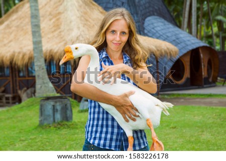 Young happy woman hold in hands funny farm pet - big white domestic goose. Day tour on family summer holidays with kids. Popular travel destination, tourist attraction in tropical Bali island