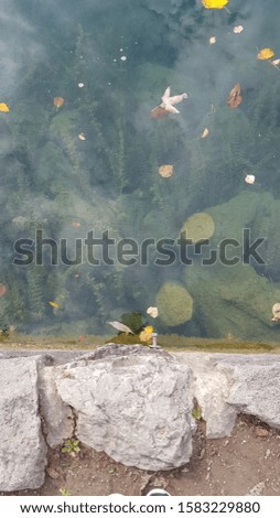 Scenic picture of the beautiful lake of Bled located in the city of Bled in Slovenia