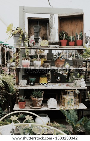 A collection of different types of plants in ceramic pots at a green shop