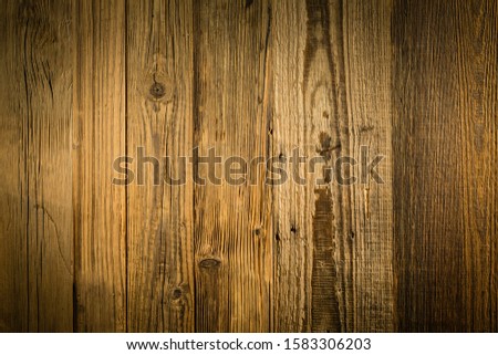 Vintage wood background. Old Wood texture