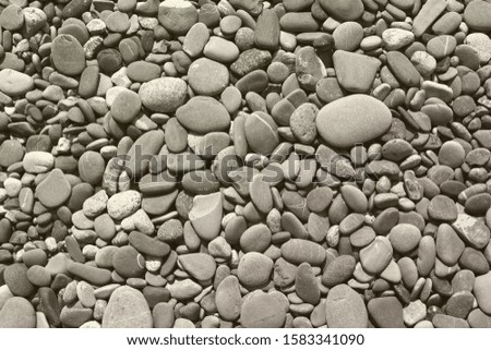 beautiful dry river shore boulders texture - abstract photo background