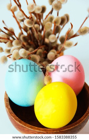 multicolored easter eggs and pussy willow branches for a easter holiday
