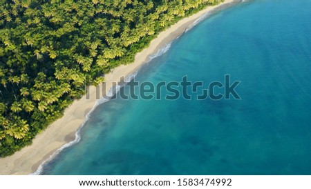 Aerial view palm beach and sea background. Sunset on a tropical palm beach island. Turquoise sea and palm seashore. Aerial view Hawaii island landscape. The best beach in the world. Copy space