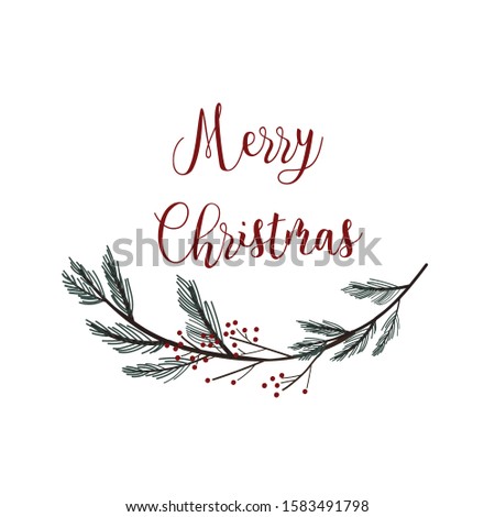 Merry Christmas calligraphy lettering. Hand drawn vector pine branches and berries on white background. 
