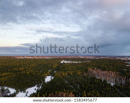 aerial view of wooden watchtower in forest. drone image