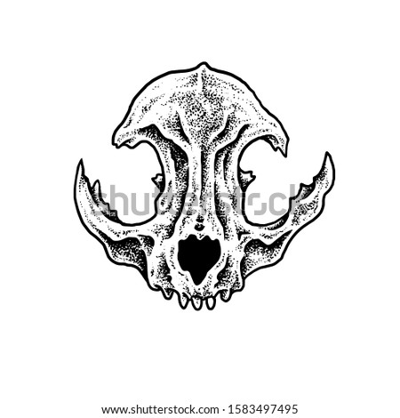 Cat skull vector design Illustration