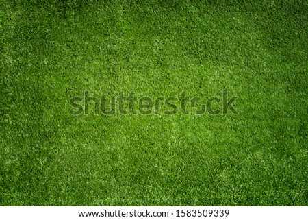 empty space green grass of a Football soccer field