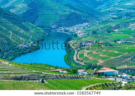 Vineyards and villages at slopes of Douro Valley in Portugal