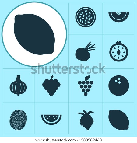 Fruit icons set with watermelon, beet, kiwi and other onion elements. Isolated illustration fruit icons.