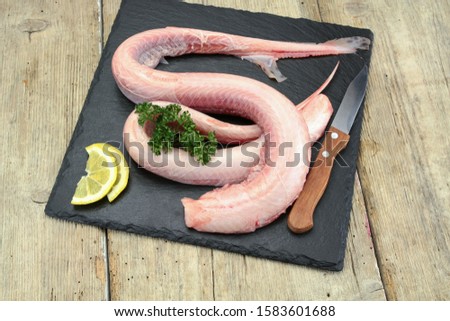 raw dogfish on a slate Royalty-Free Stock Photo #1583601688