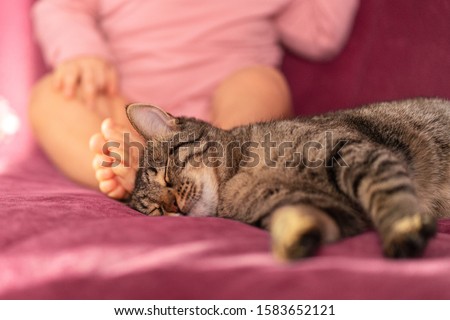 
baby heels next to a sleeping contented cat