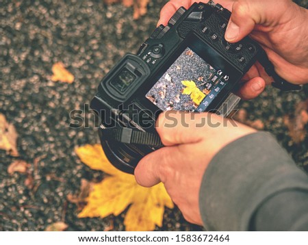 Hands of artist working with modern camera. Artist create amazing picture of fall season theme in autumn garden or trees park. 