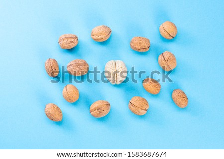 Walnuts like healthy food for the brain. Shape of human brain is surrounded by walnut kernels. It symbolizes how brain similarity with walnuts and proven effectiveness as healthy food for brain