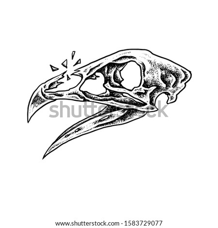 Chicken Skull vector design illustration