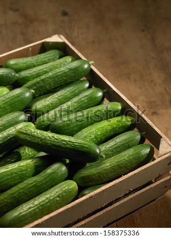 Basket of Cucumbers
