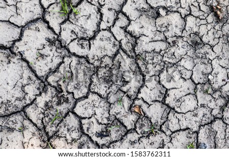 Detailed close up view on dry agricultural grounds and acre in high resolution