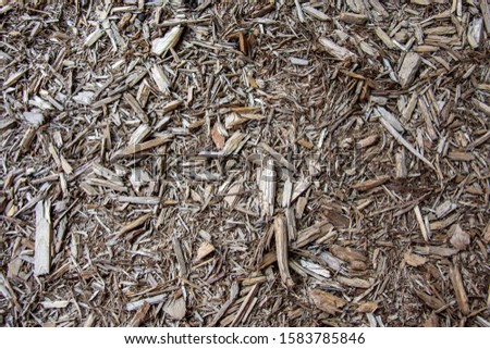Many chips of wood covering the soil in the entire frame of the picture