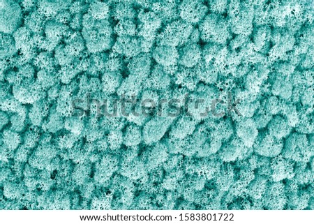 Pantone  bleached coral color decorative moss texture. Wall from moss background. 