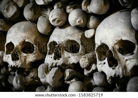 Human skulls and bones. Gloomy photo. Death