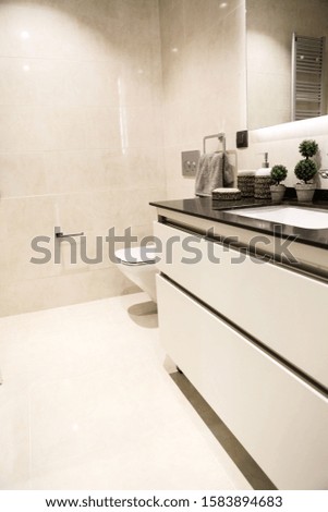 Luxury Modern Bathroom interior design
