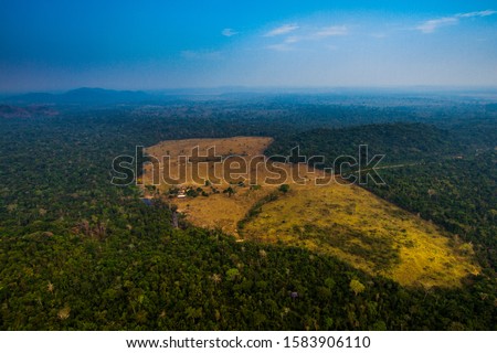 Pasture areas derived from illegal deforestation near the Menkragnoti Indigenous Land. Pará - Brazil Royalty-Free Stock Photo #1583906110