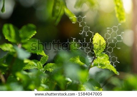 Plants background with biochemistry structure. Royalty-Free Stock Photo #1584047005