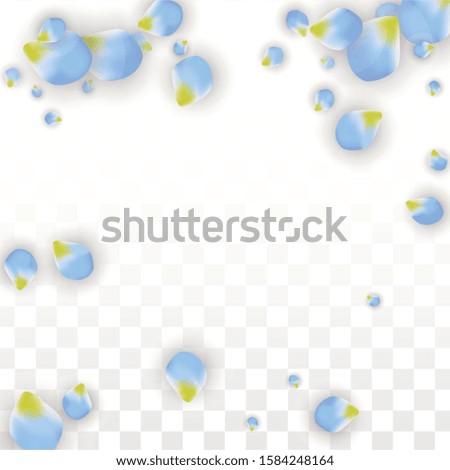 Vector Realistic Blue Petals Falling on Transparent Background.  Spring Romantic Flowers Illustration. Flying Petals. Sakura Spa Design.  Blossom Confetti. Design Elements for  Wedding Decoration.