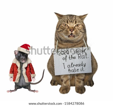 The beige cat wears a sign around his neck that says 2020 - year of the rat and I already hate it. The black rat in Santa Claus clothes is next to him. White background. Isolated.