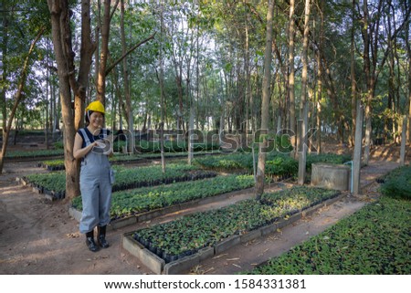Beautiful Asian women (farmer)hold a tablet to control their work in the garden. Looking down at the computer in his hand. Smart farm. Planting seedlings. Planter shop concept. Tree Nursery background