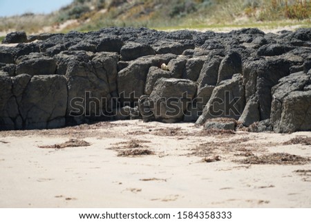picture showing stones which looks like cliffs on an australian beach