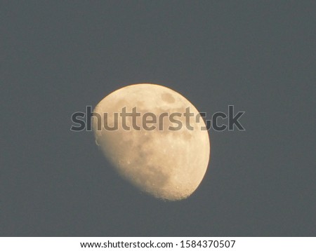 The Moon is an astronomical body that orbits planet Earth,Half Moon nature background 