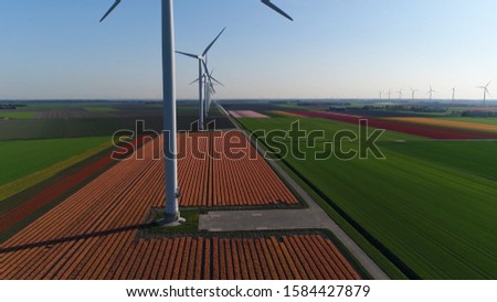 Aerial photo of wind turbines located at tulip fields polder landscape showing the masts of the energy converter is a device that converts the winds kinetic power into electrical electricity Royalty-Free Stock Photo #1584427879