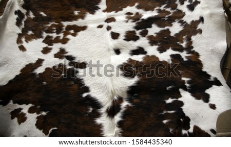 Animal skins in fur, fashion accessory and coat, textures detail