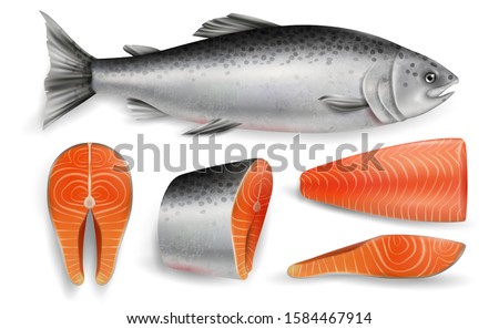 Salmon whole red fish, raw steaks and fillet, vector illustration isolated on white background. Realistic seafood product, sushi ingredient, healthy nutrition. Royalty-Free Stock Photo #1584467914