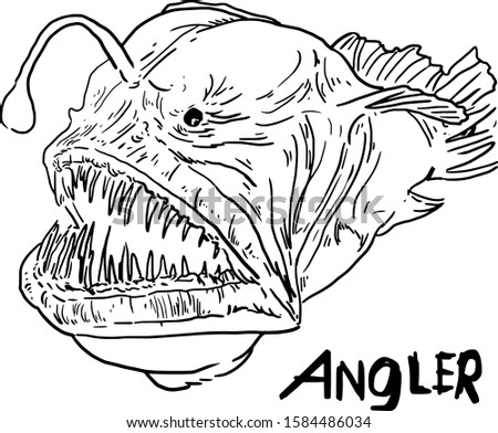 An angler fish hand drawn vintage illustration black and white line art