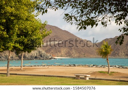 Bench, palm tree on the ocean