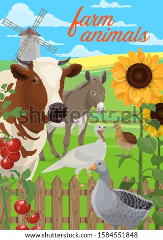 Farm animals and vegetables vector design. Agriculture and farming poster of farmer field and yard with cow, goose and quail, turkey and donkey, tomatoes, sunflowers, windmill and wooden fence