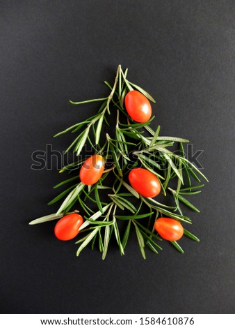 Rosemary green herb like Christmas tree with red cherry tomatoes  on black paper textured background. Plant, spice aroma cuisine ingredient.