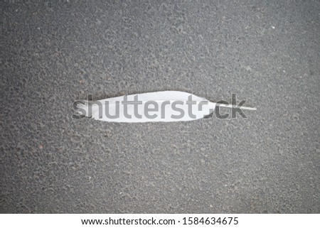 white feather on grey asphalt