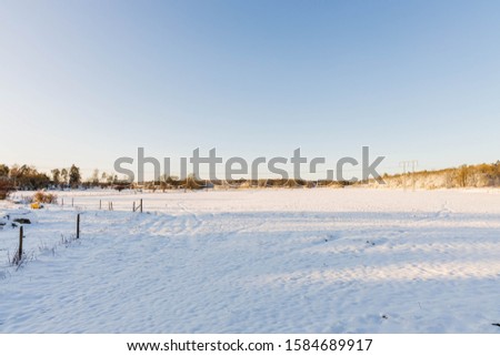 Gorgeous view of winter nature landscape. Snowy trees in winter. Winter day. Beautiful winter background.