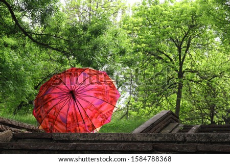 A spring in the park and a beautiful pink purple umbrella on the stairs. Protect yourself from the spring rains.