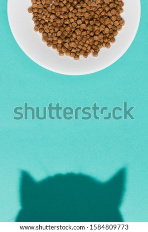 Plate with dry cat food and curious cat shadow on blue background. Direct light. Top view, vertical picture. Flat lay mockup.