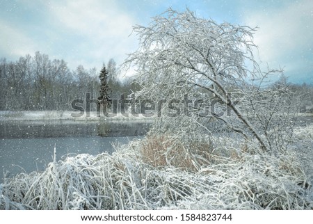 Beautiful landscape with snowfall on the lake in the winter park.