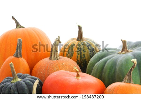 Pumpkins family. Group of fruits isolated on white background