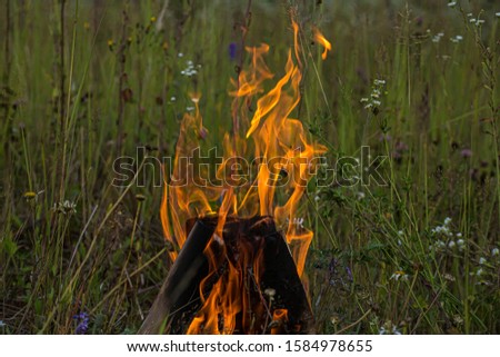 Bonfire - photo in the field