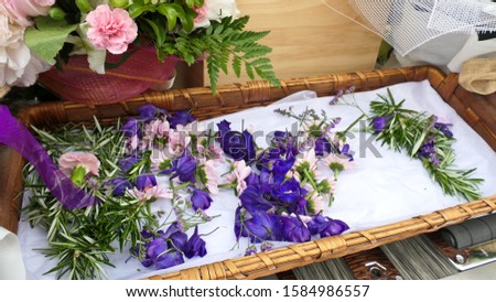 beautiful flower bouquet, petals or arrangement
