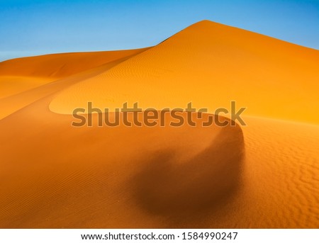 Amazing view of sand dunes in the Sahara Desert. Location: Sahara Desert, Merzouga, Morocco. Artistic picture. Beauty world. Travel concept.