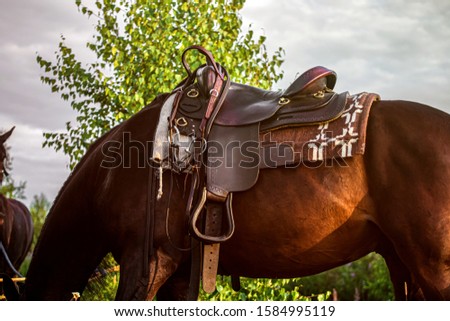Western saddle - leather ammunition