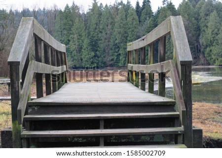Wooden bridge in rainforest. Forest bridge view. Wooden bridge forest scene.